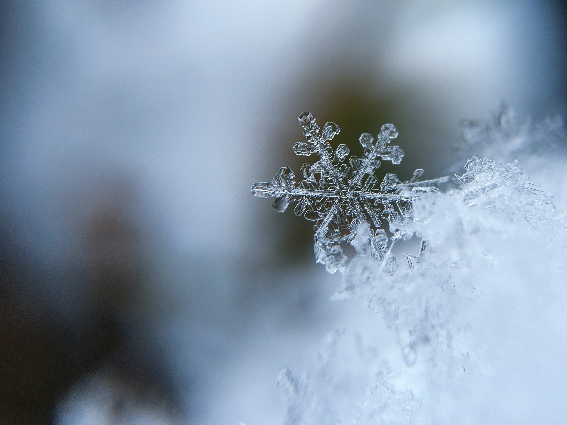 8.snowflake-1245748_1920 8.snowflake-1245748_1920